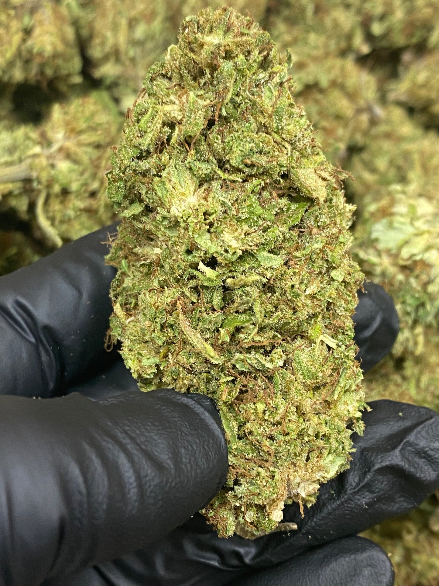 SOUR SPECIAL SAUCE - PREMIUM