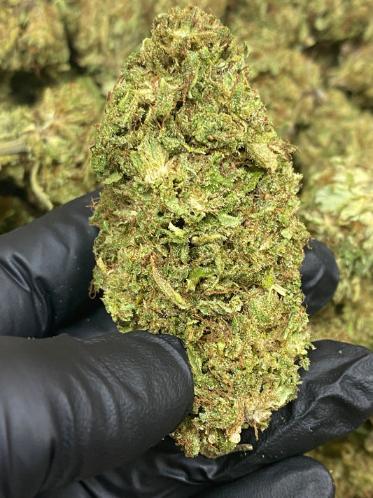 SOUR SPECIAL SAUCE - PREMIUM – Flower – SKU AS24DSSSFHTMB100224P