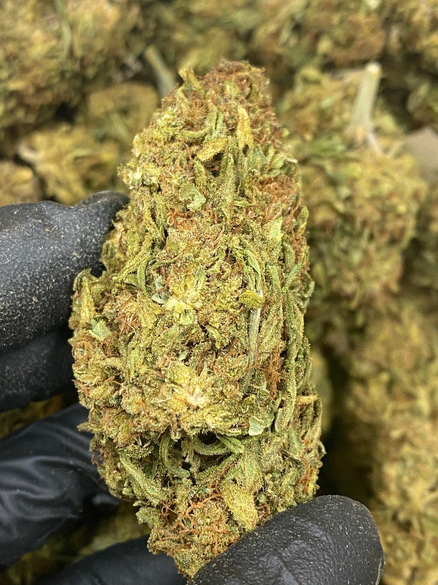 SOUR CHEM (FT)