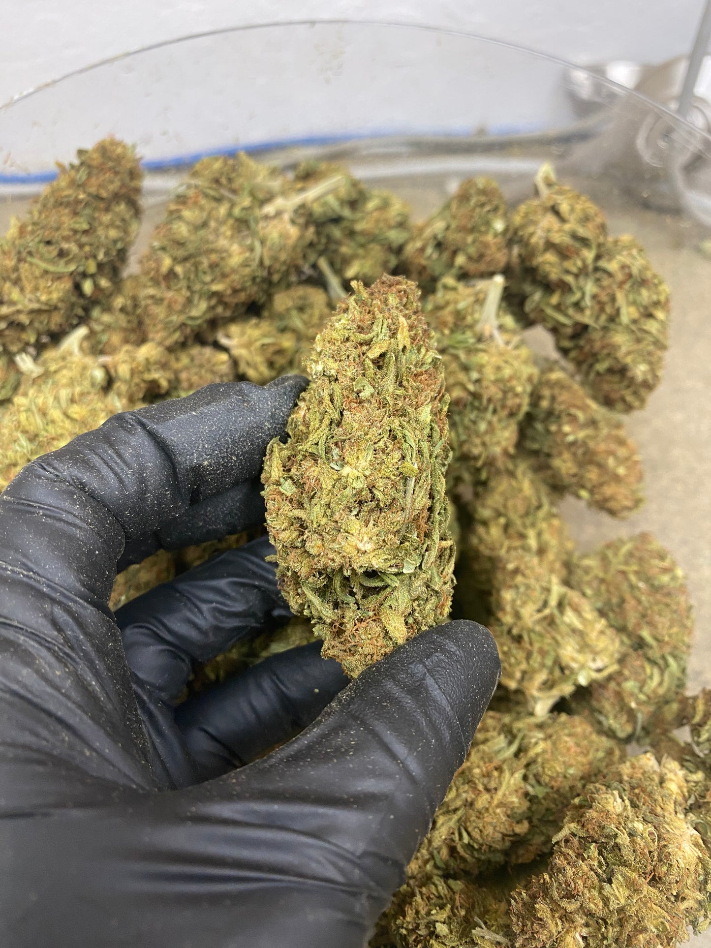 SOUR CHEM (FT)