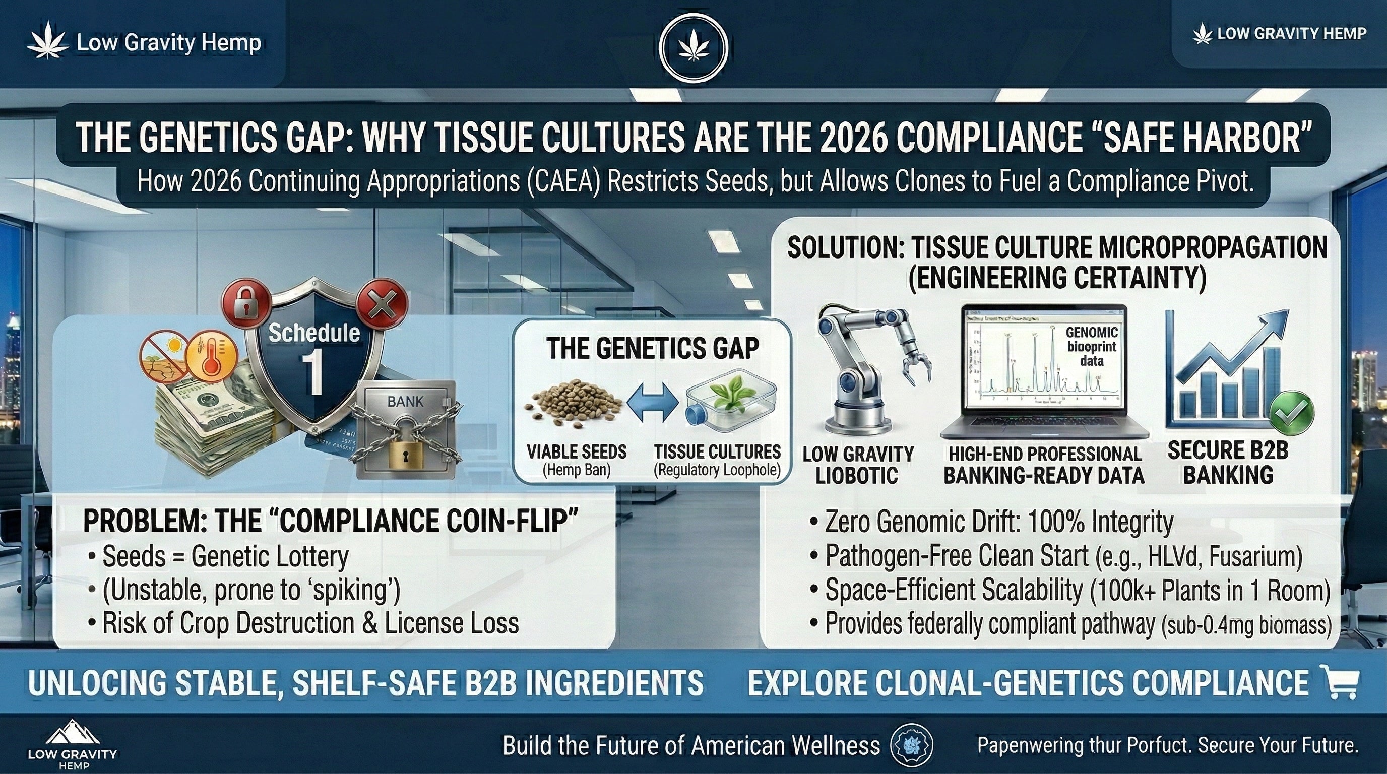 Hemp-Derived Bio-Polymers: The B2B Guide to Sustainable Packaging Replacement