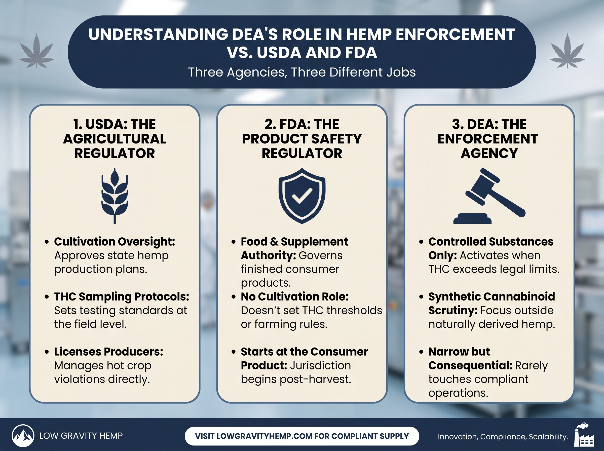 DEA vs USDA vs FDA in Hemp Regulation infographic