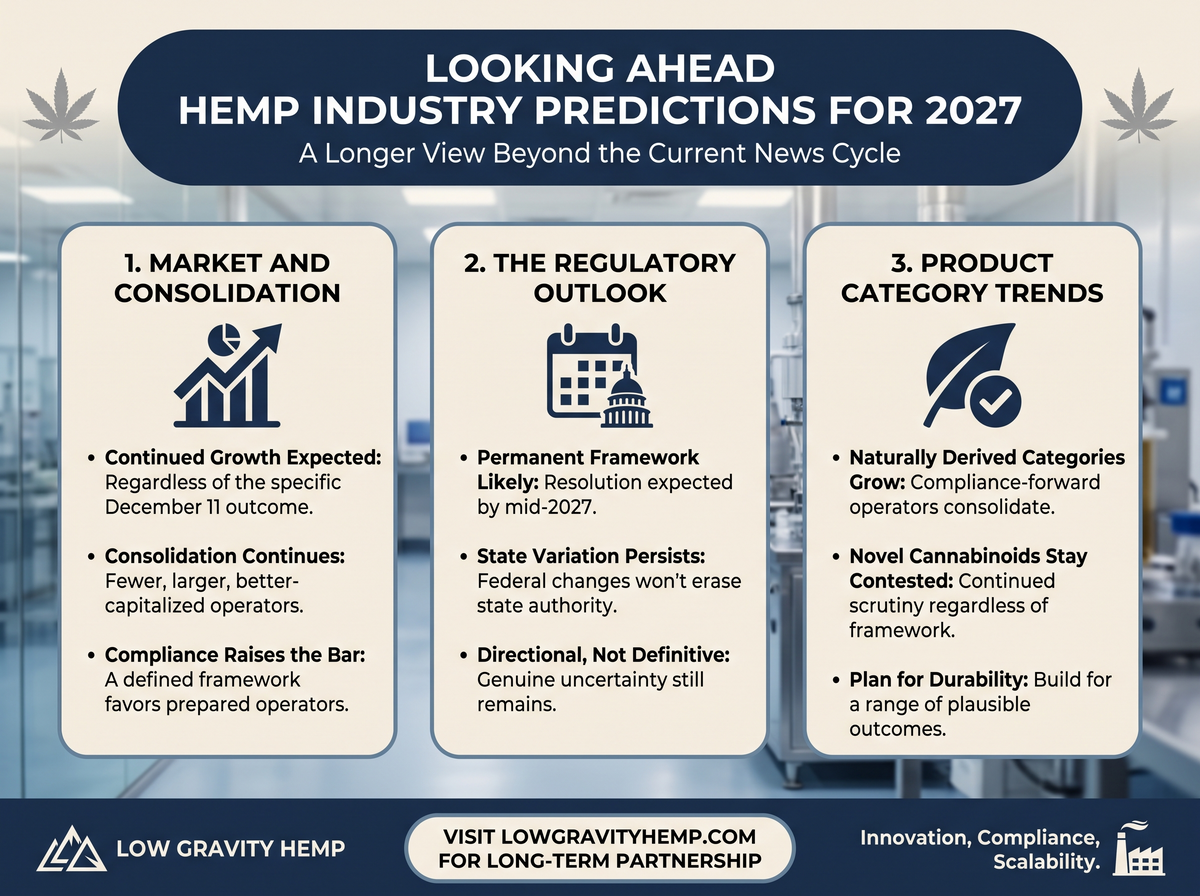 Hemp Industry Predictions for 2027 infographic