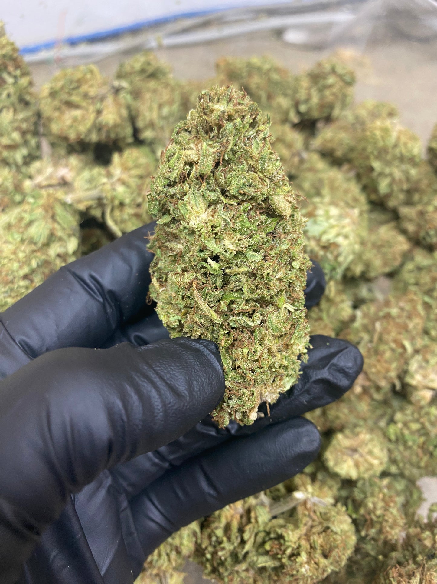 SOUR SPECIAL SAUCE - PREMIUM