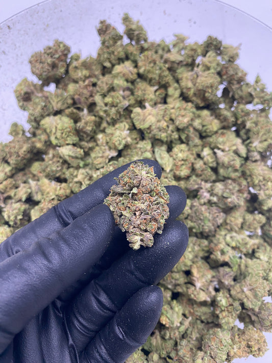 Budda Cheese (FL) 091525