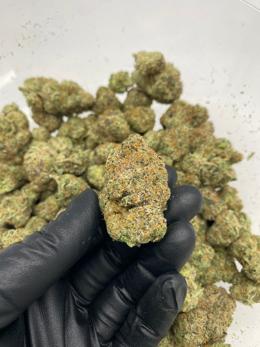 Purple GSC (FL) 092925