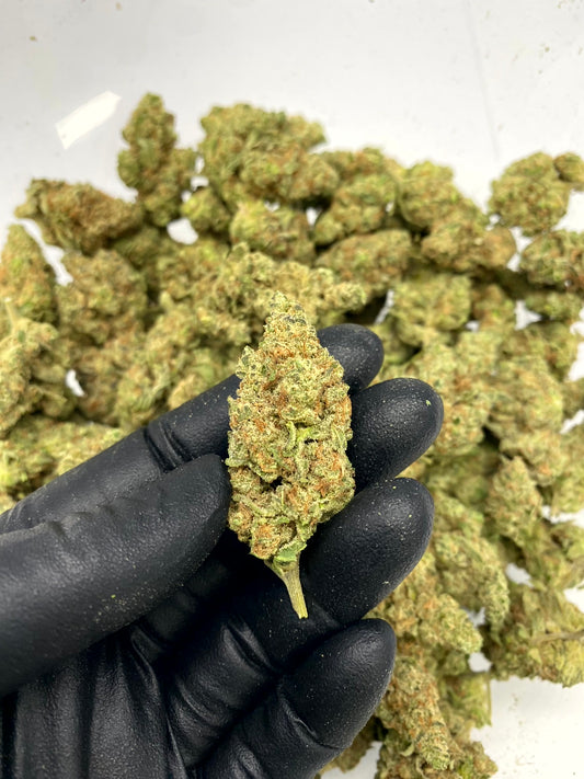 Vader OG (FL) 090325