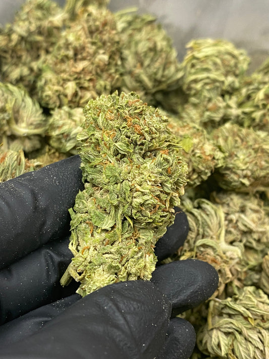 STRAIN WHITE