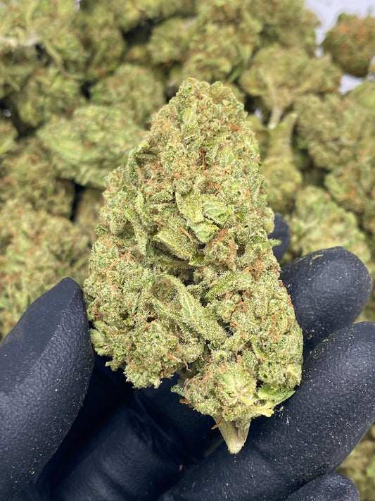 Watermelon Zkittles (RB) 071725 – Flower – SKU RR25AWZFHTMB080725