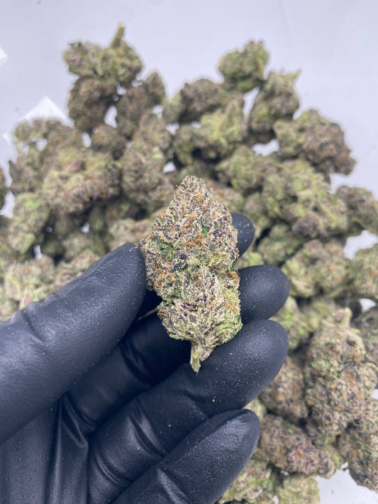 Lemon Cherry Gelato (FL) 091825