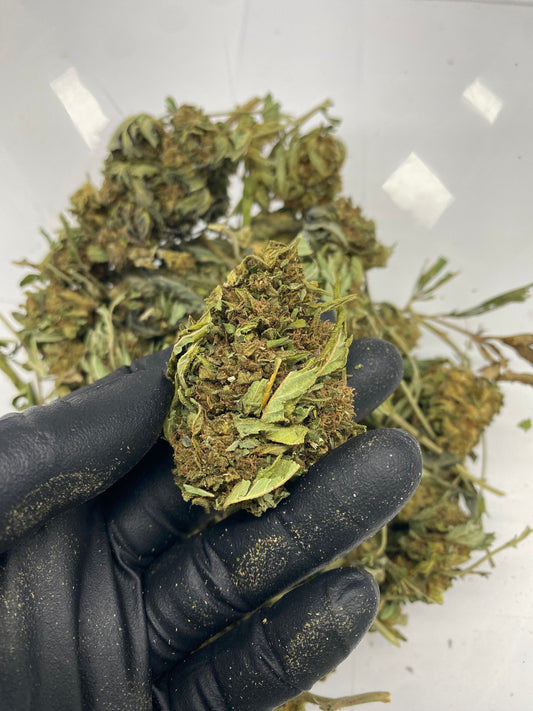 NO NAME – Biomass, CBD Biomass – SKU HWW24DNNOTS071125