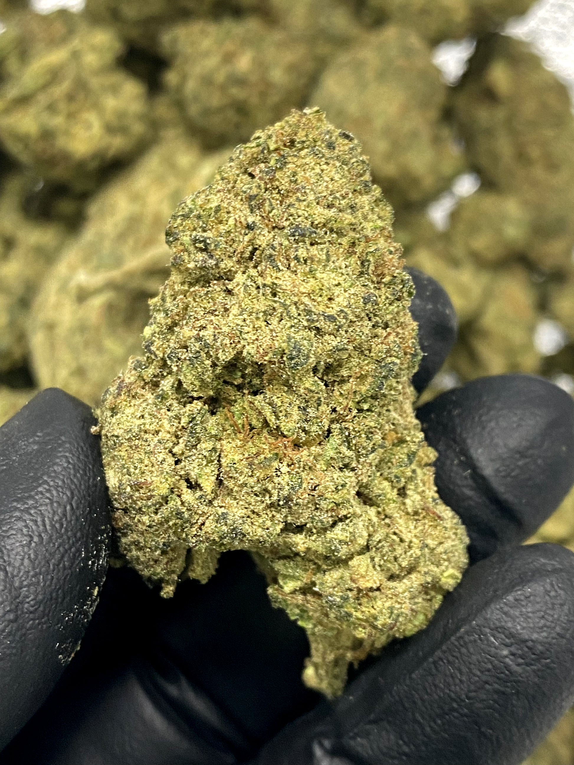 Sour Lifter x Pink Guava w/ Kief – Flower – SKU LG25PSLPGKFHTMB042825