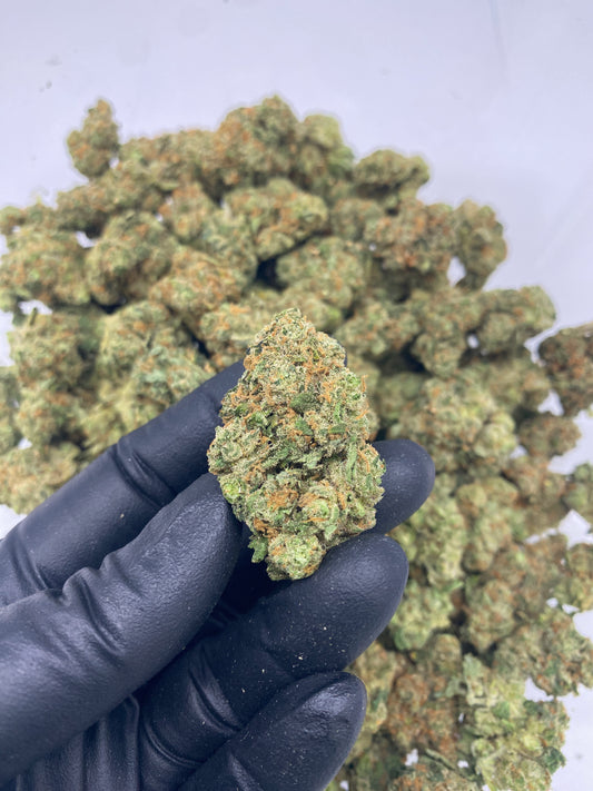 Super Silver Haze (FL) 091825