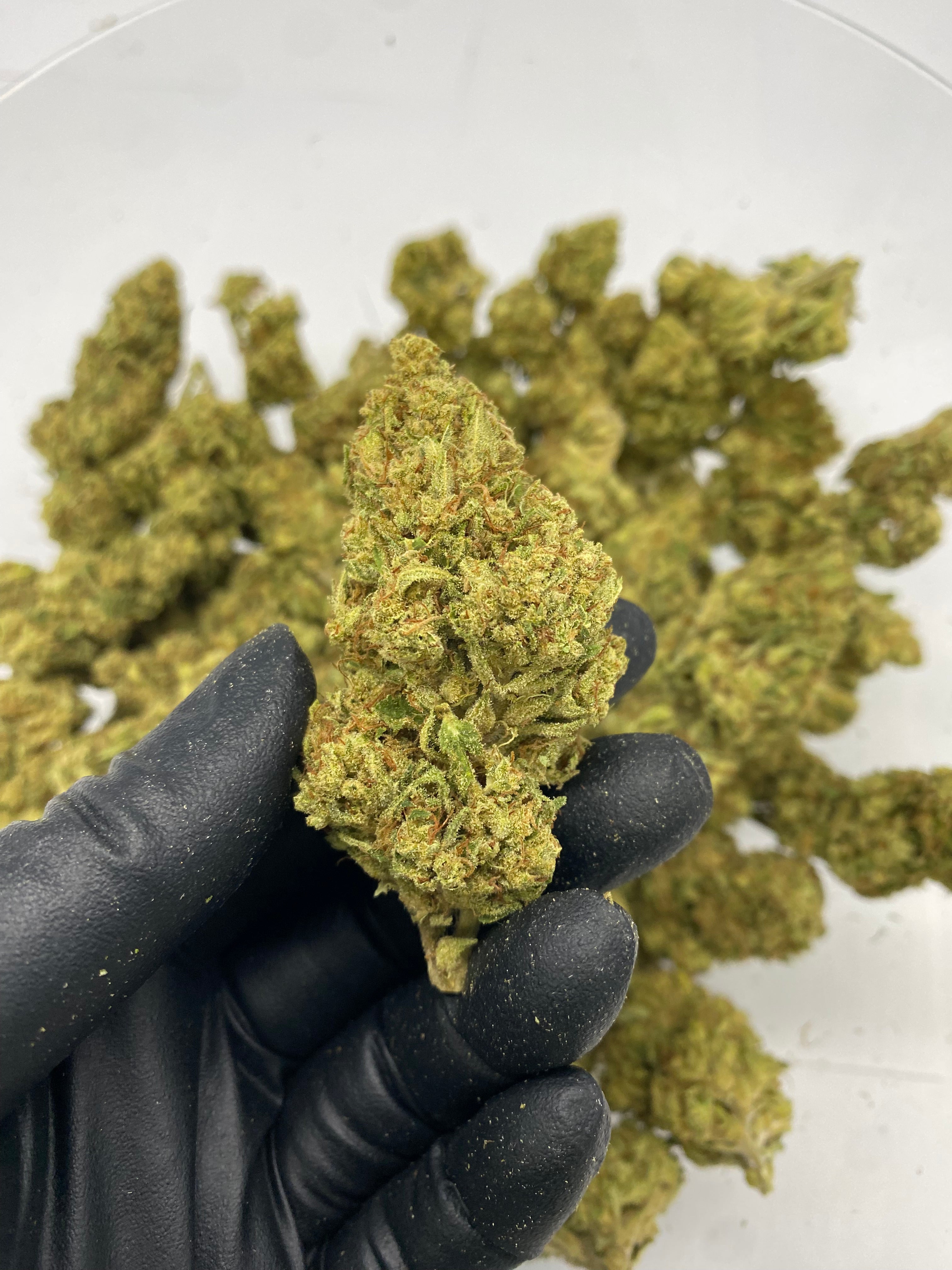 Chem OG Beast (NV) 090225 – Flower – SKU NV25ACBOGFHTMB090225