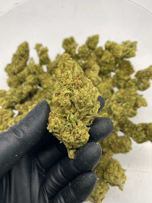 Chem OG Beast (NV) 090225 – Flower – SKU NV25ACBOGFHTMB090225