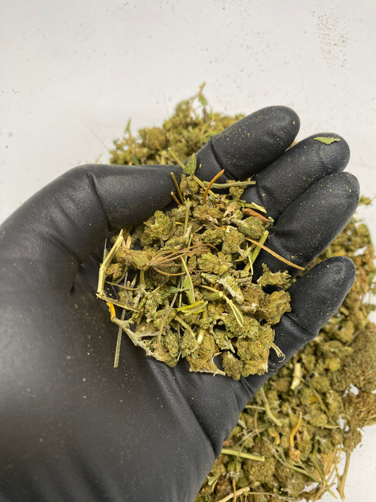Merlot – Biomass, CBD Biomass – SKU AX24DMTrim122024