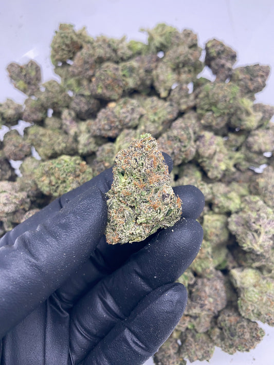 Zkittles (FL) 091825