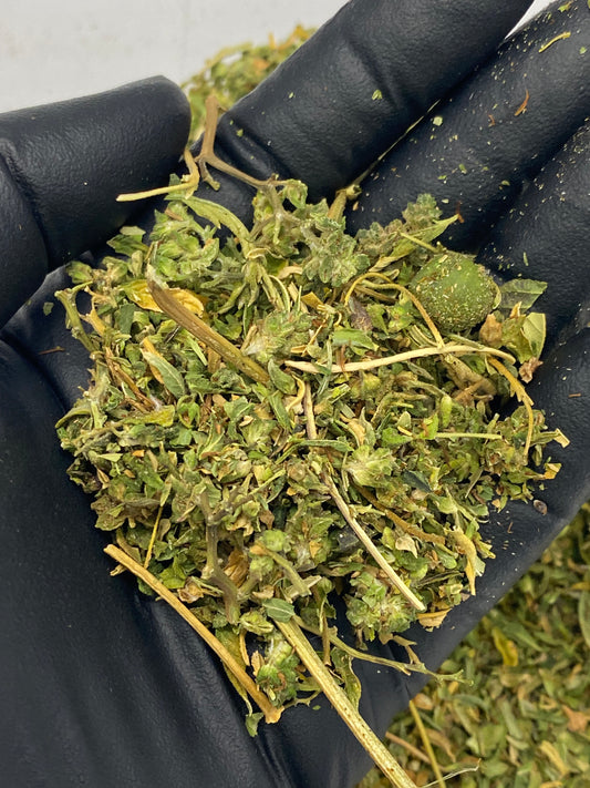 MAVERICK – Biomass, CBD Biomass – SKU VG25DMASP081925