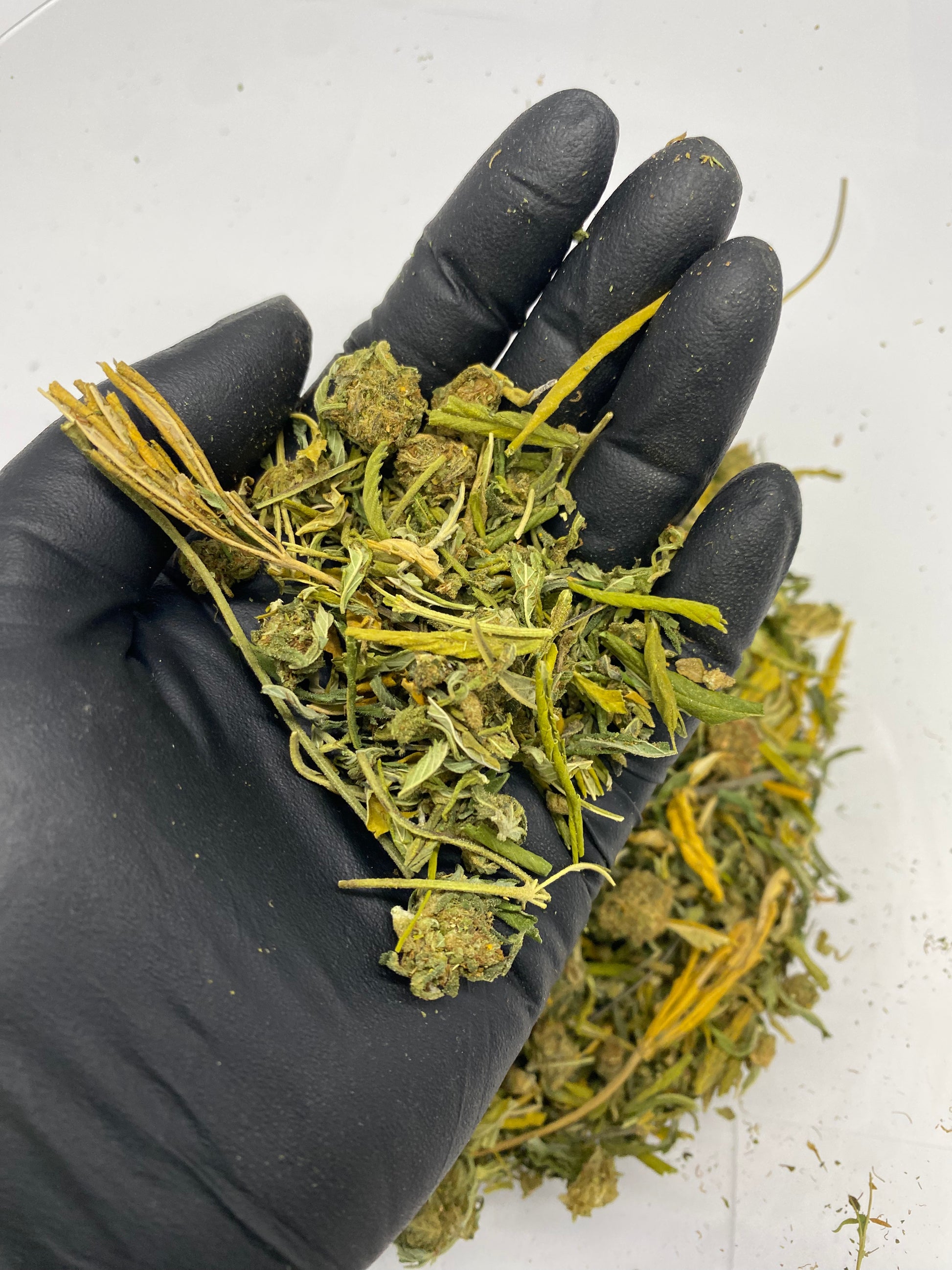 SOUR ELECTRA – Biomass, CBD Biomass – SKU FT24DSEBU070825