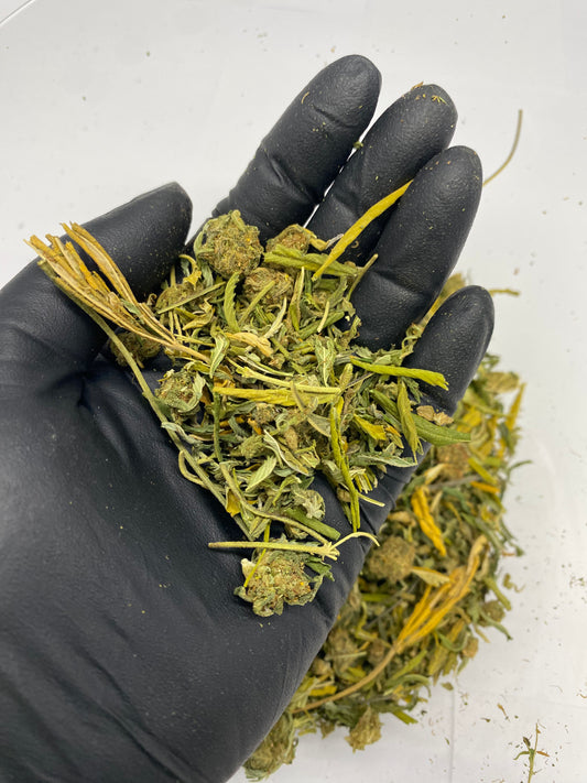 SOUR ELECTRA – Biomass, CBD Biomass – SKU FT24DSEBU070825