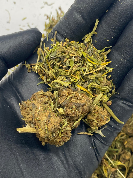 SOUR SPACE CANDY – Biomass, CBD Biomass – SKU GF24DSSCF080825