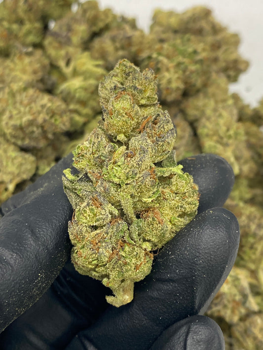 LA Kush Cake (NV) 071725 – Flower – SKU NV25ALAKCFHTMB071725
