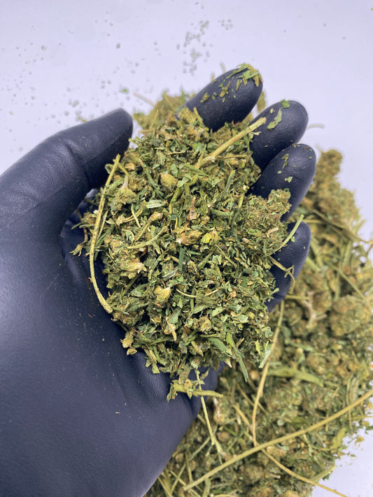 SOUR ELECTRA – Kief – SKU FT24DSEK070825