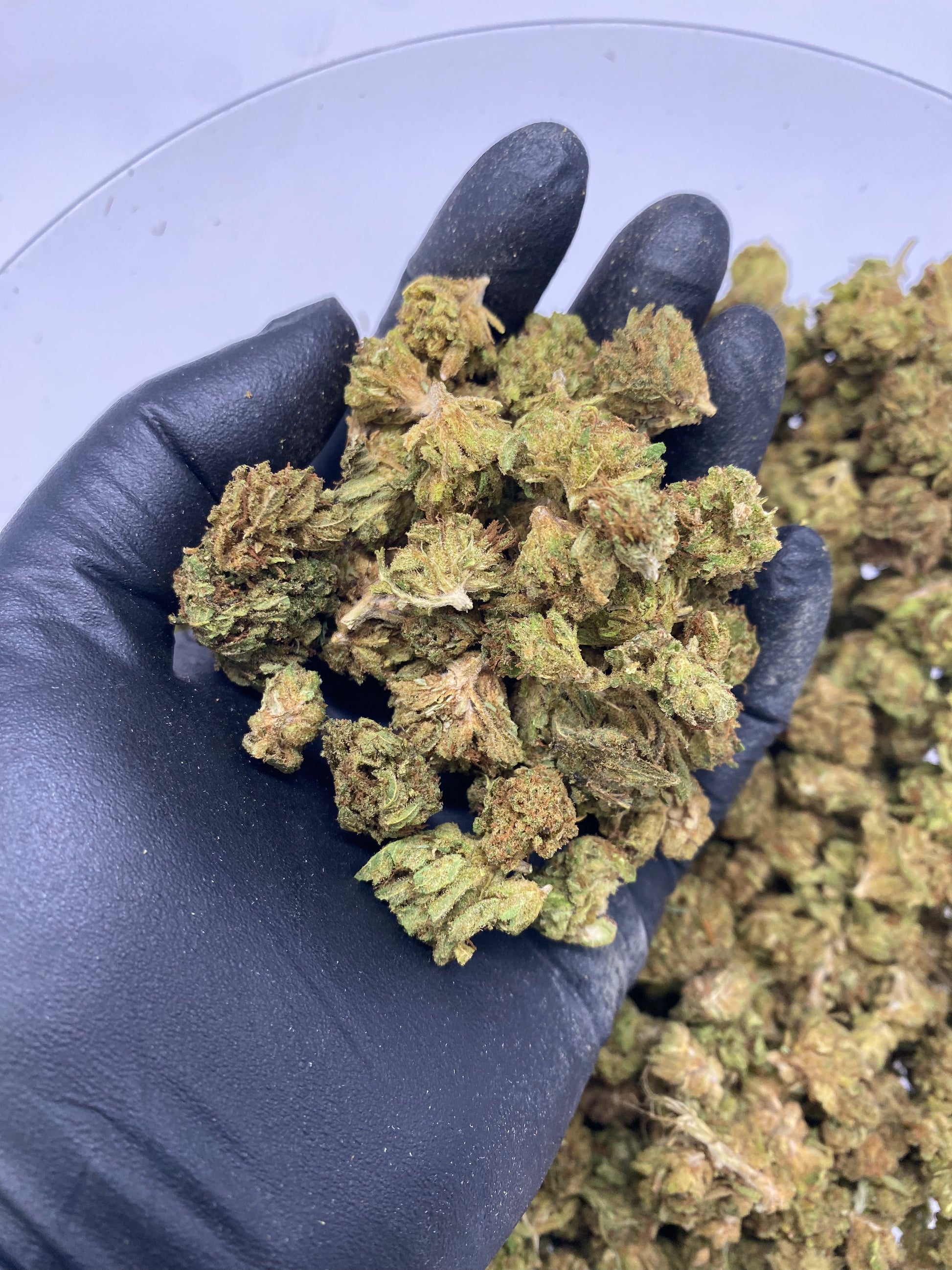 Sour lifter – Biomass, CBD Biomass – SKU EH24DSLT041625