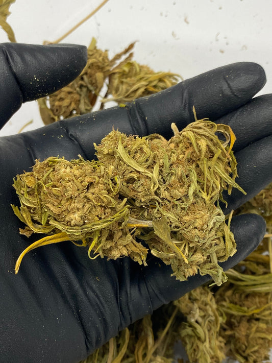 SOUR ELECTRA – Biomass, CBD Biomass – SKU HWW23DSEBU071125