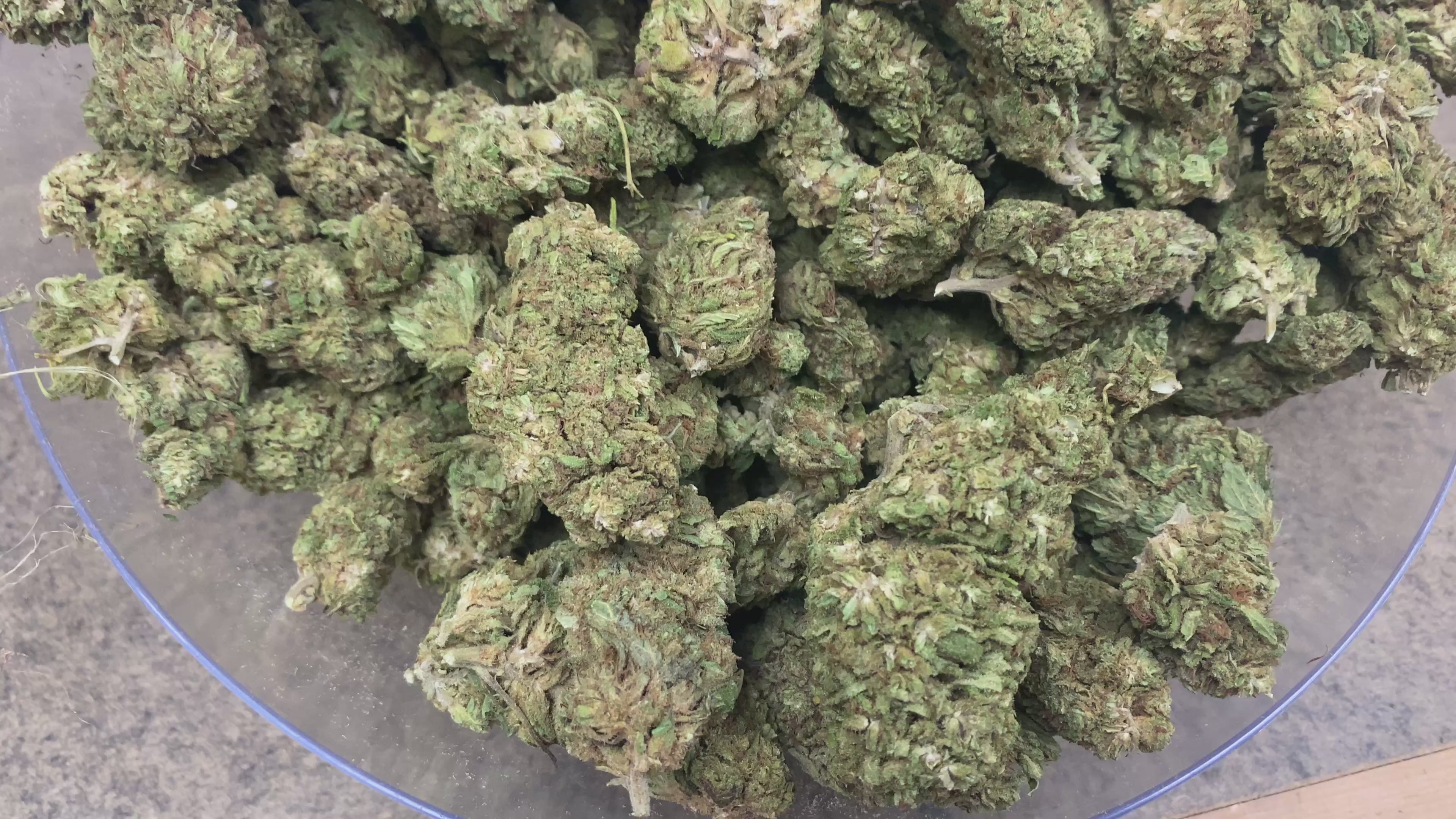 SOUR SPECIAL SAUCE