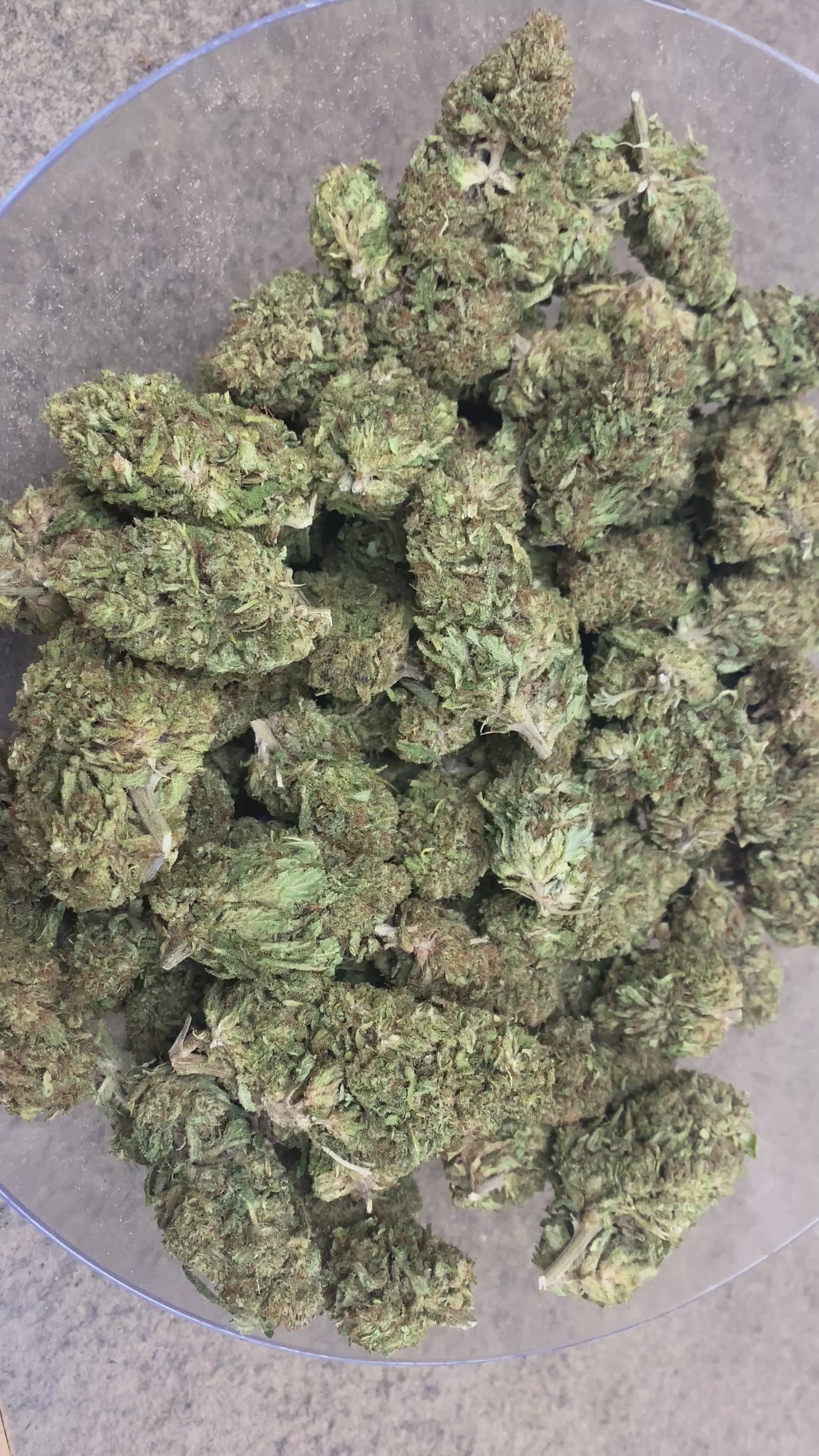 SOUR SPECIAL SAUCE - PREMIUM