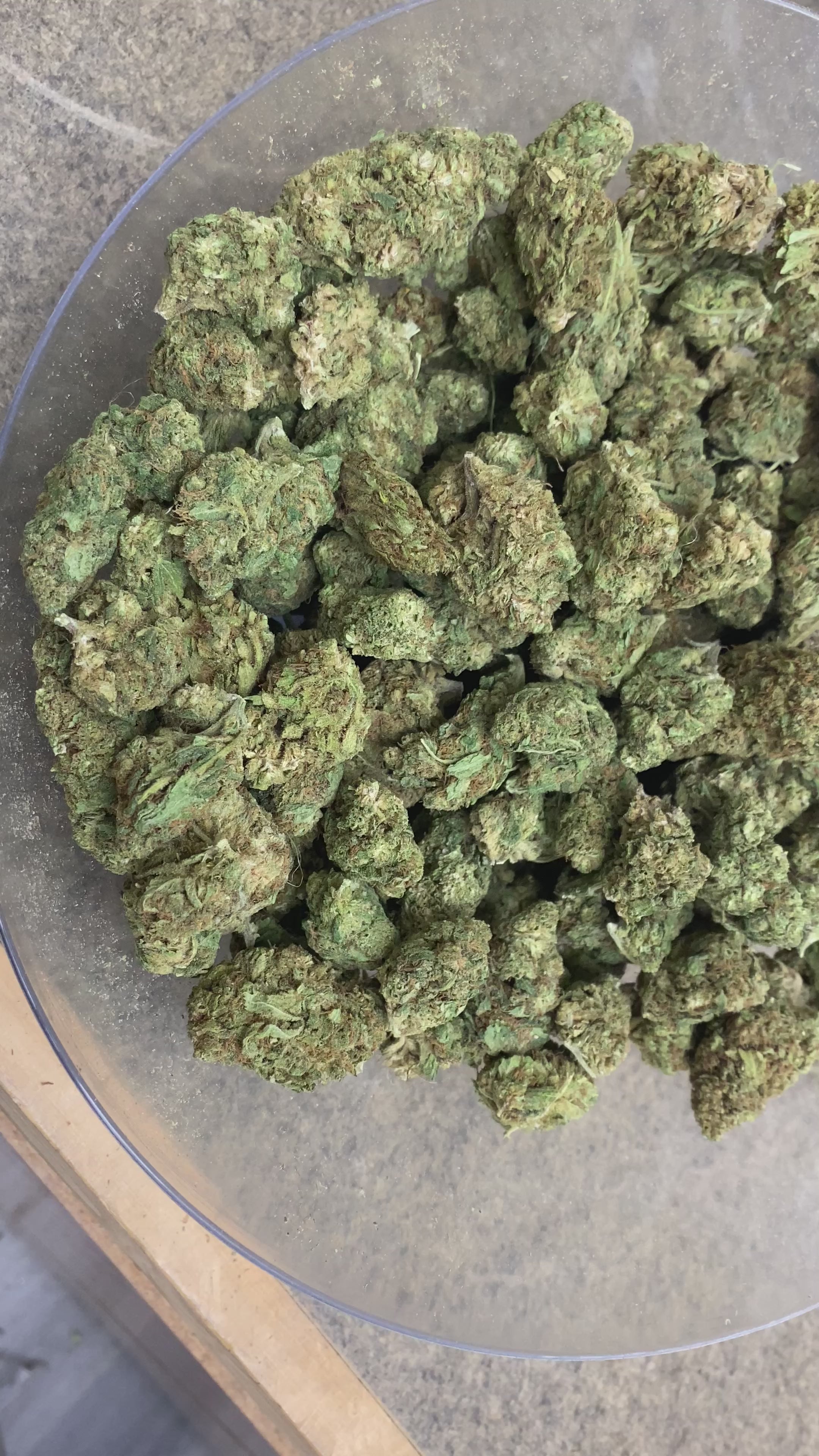 SOUR LIFTER (AS)