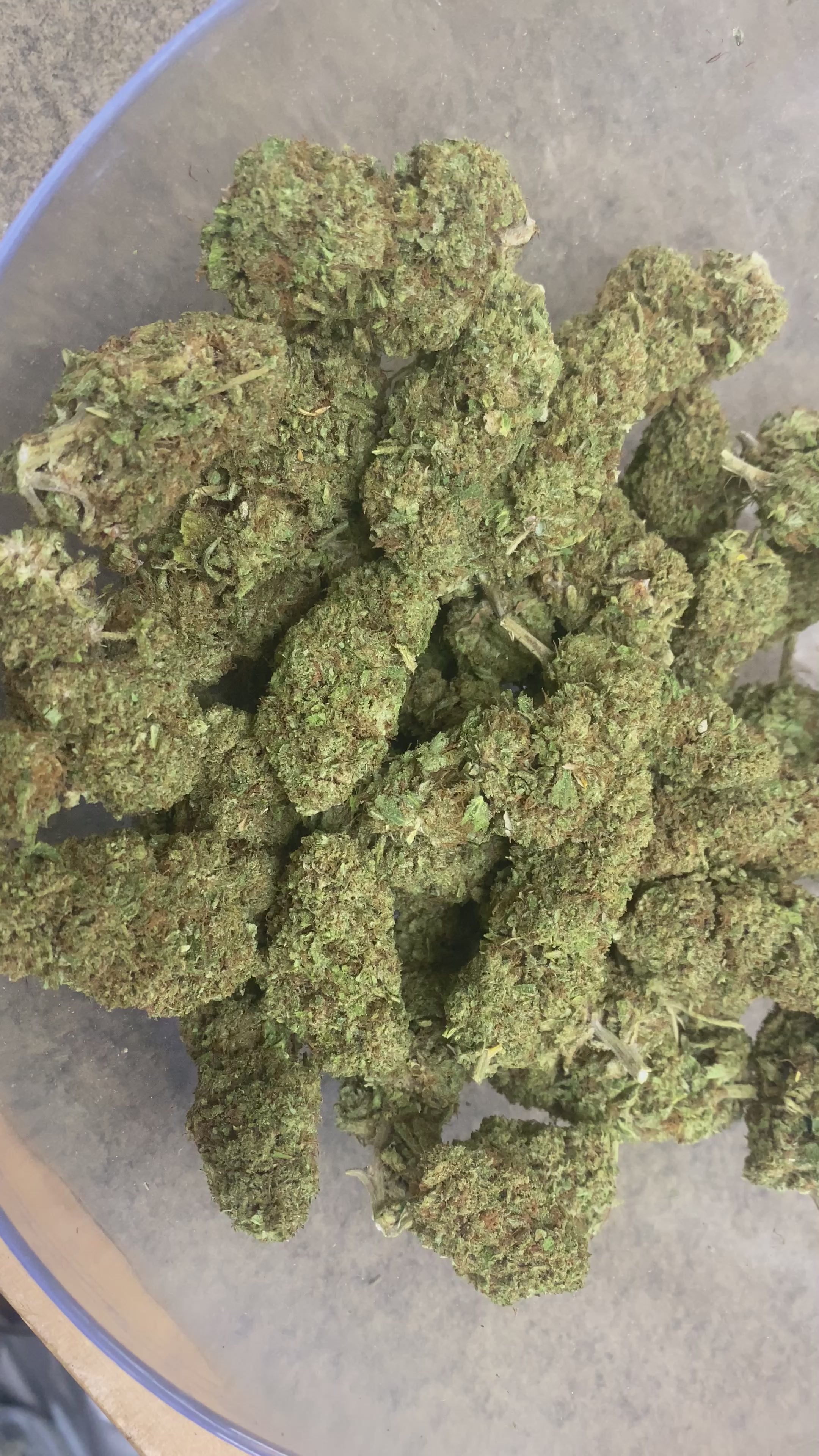 SOUR LIFTER (AS) - PREMIUM