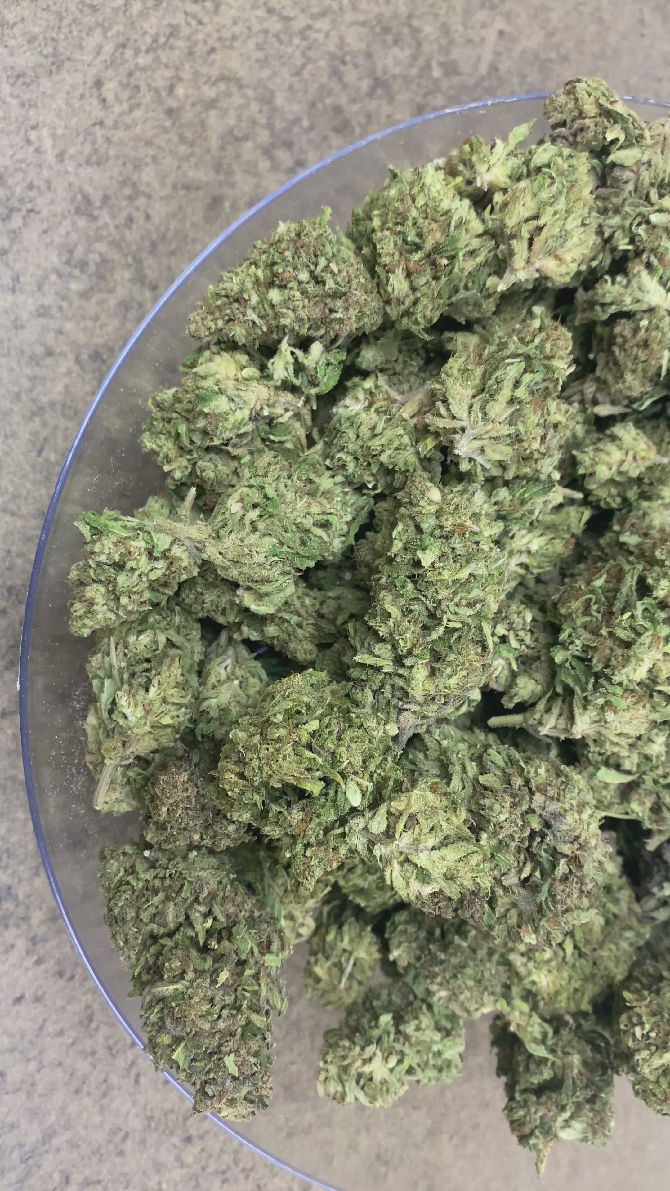 HAWAIIAN HAZE
